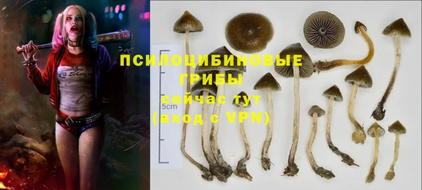 соль курить ск Пересвет