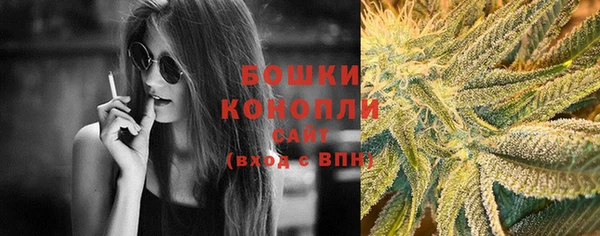spice Осташков