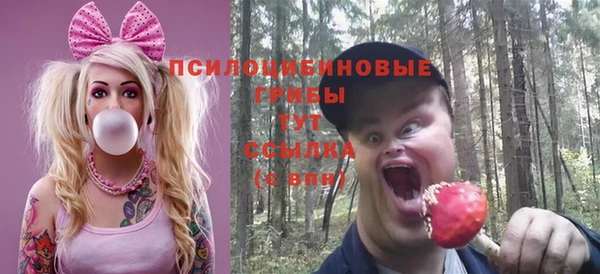 метадон Пестово