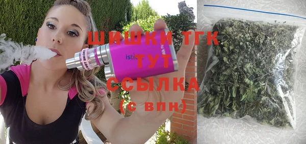 ешки Осинники