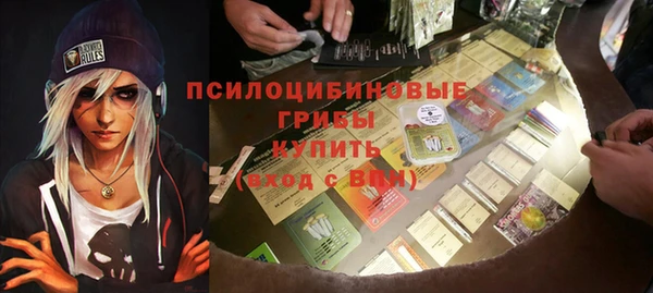 ALPHA PVP Остров