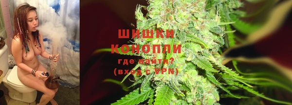 spice Осташков