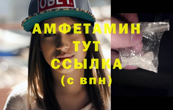 apvp Гатчина